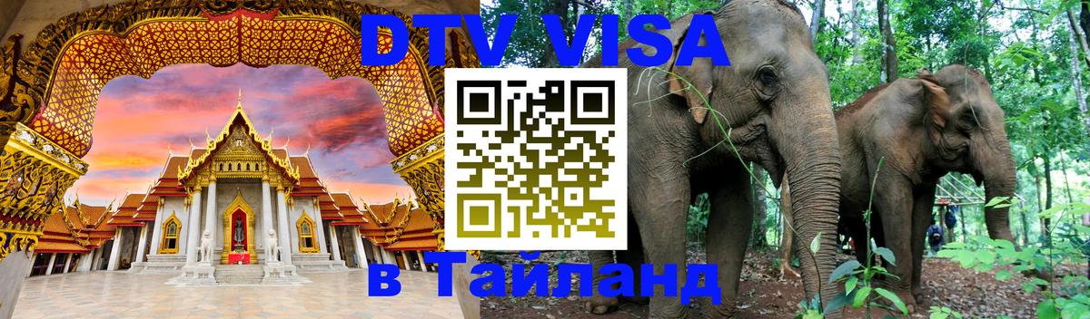 Сколько стоит DTV виза — актуальные цены, оформление даже без документов - Копейск  18.11.2025 